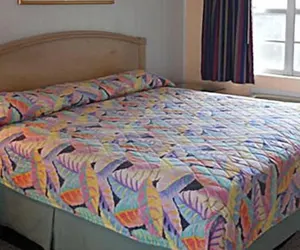 Photo 4 - Tropicana Motel Wauchula