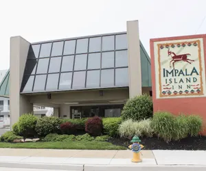Photo 2 - Impala Island Inn
