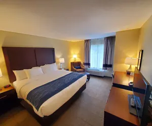 Photo 4 - Comfort Inn & Suites Munising-Lakefront