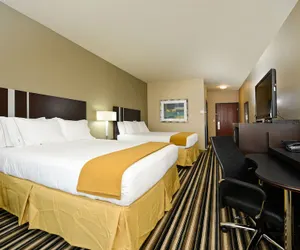 Photo 4 - Holiday Inn Express & Suites Forrest City, an IHG Hotel