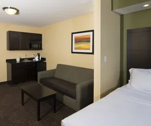 Photo 3 - Holiday Inn Express & Suites Detroit North - Troy, an IHG Hotel