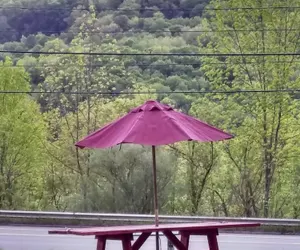 Photo 4 - Green Valley Motel