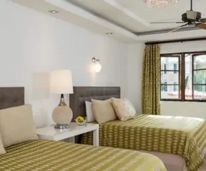 Photo 5 - Black Dolphin Inn