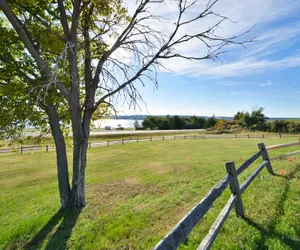 Photo 3 - Cedar Shore Resort