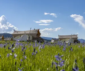 Photo 2 - Under Canvas West Yellowstone