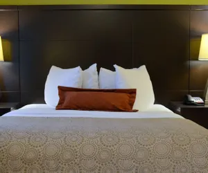 Photo 5 - Staybridge Suites Longview by IHG