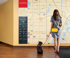 Photo 4 - TownePlace Suites by Marriott Houston Northwest/Beltway 8