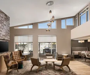 Photo 3 - Residence Inn by Marriott Tampa Wesley Chapel