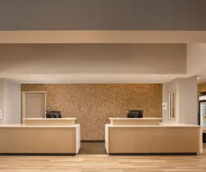Photo 5 - Residence Inn by Marriott Tampa Wesley Chapel