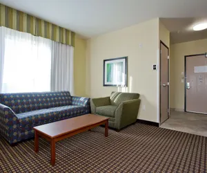 Photo 3 - Holiday Inn Express Hotel & Suites Denver East-Peoria Street by IHG