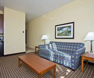 Photo 4 - Holiday Inn Express Hotel & Suites Denver East-Peoria Street by IHG