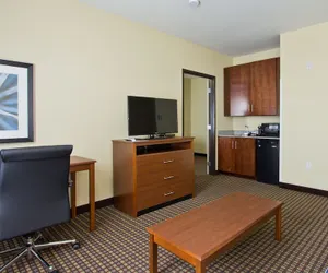 Photo 5 - Holiday Inn Express Hotel & Suites Denver East-Peoria Street by IHG