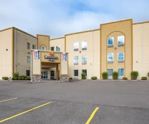 Photo 2 - Comfort Inn Apalachin / Binghamton W Route 17