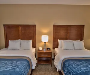 Photo 4 - Comfort Inn Apalachin / Binghamton W Route 17