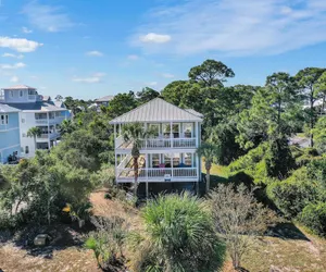 Photo 2 - Cape Palms