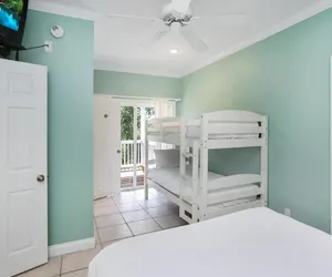 Photo 4 - Cape Palms