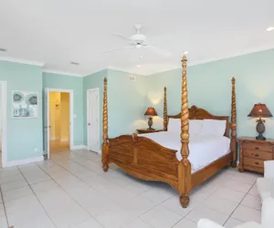 Photo 5 - Cape Palms