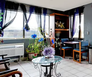 Photo 3 - Hotel O Luxury Inn Channelview Baytown I-10