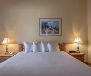 Photo 3 - Cozy Pet-friendly King Studio In Mt. Crested Butte Condo - No Cleaning Fee! by RedAwning