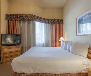 Photo 2 - Cozy Pet-friendly King Studio In Mt. Crested Butte Condo - No Cleaning Fee! by RedAwning