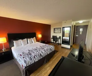 Photo 4 - Tropical Palms Hotel