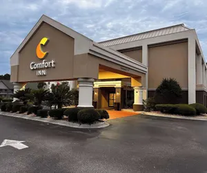 Photo 2 - Comfort Inn Darien - North Brunswick