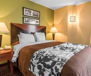 Photo 3 - The Douillet by Demeure Hotels