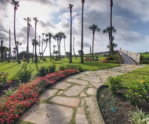 Photo 3 - Galvestonian 1002 - Beachfront Getaway