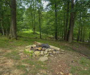 Photo 4 - Mountain Meadow