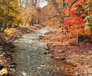 Photo 2 - Cozy Creek Cottages