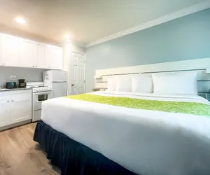 Photo 2 - The Clevelander