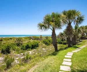 Photo 5 - Sea Turtle Shores