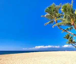 Photo 2 - Kaanapali Shores by KBM