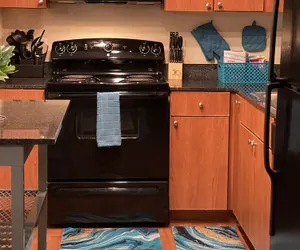 Photo 3 - Luxury Style Retreat The Domain