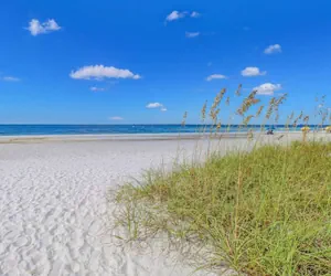 Photo 2 - Beach & Tennis 5001