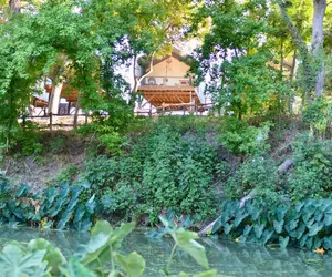 Photo 2 - 9 Son's Rio Cibolo - Birdhouse Cabin