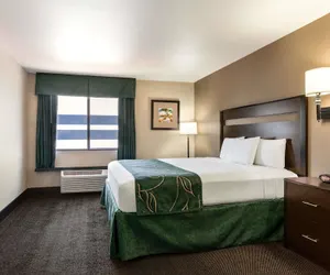 Photo 4 - Travelodge by Wyndham Santa Teresa