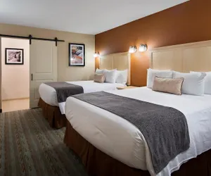 Photo 5 - Best Western Acadia Park Inn