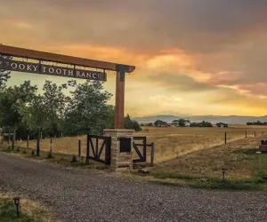 Photo 2 - Llama-stay at Spooky Tooth Ranch – Mtn Views!!