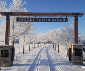 Photo 4 - Llama-stay at Spooky Tooth Ranch – Mtn Views!!