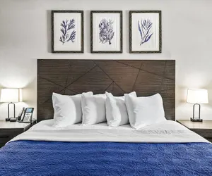 Photo 4 - Baymont by Wyndham Ocala Suites