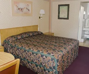 Photo 5 - Motel 8 Willcox