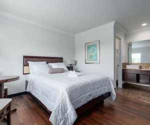 Photo 5 - Crewe Boutique Inn