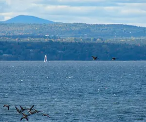 Photo 4 - Rustic Lake House on Lake Champlain's Barney Point