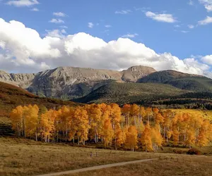 Photo 5 - Family Home w/ Patio: Visit San Juans & Telluride!