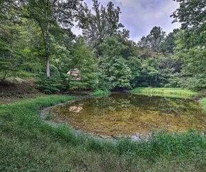 Photo 4 - Quiet Max Meadows Cabin, 12 Acres of Property