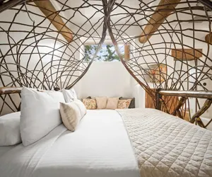 Photo 2 - Adobe Village Villa With Private Patio- Purple Lizard 1 Bedroom Villa by RedAwning