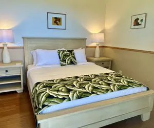Photo 5 - Mango Sunset Bed and Breakfast