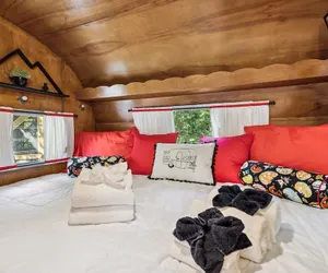 Photo 3 - Shasta Mountain Escape 1 Bedroom Home by RedAwning