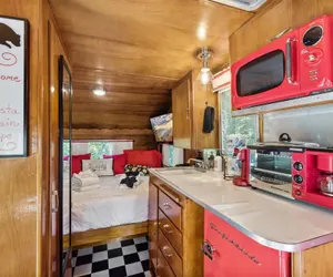 Photo 5 - Shasta Mountain Escape 1 Bedroom Home by RedAwning